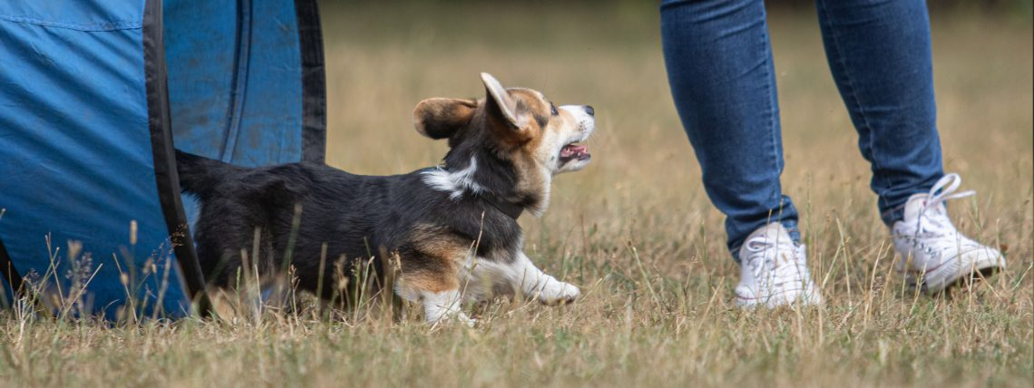 Workshops & Vorträge