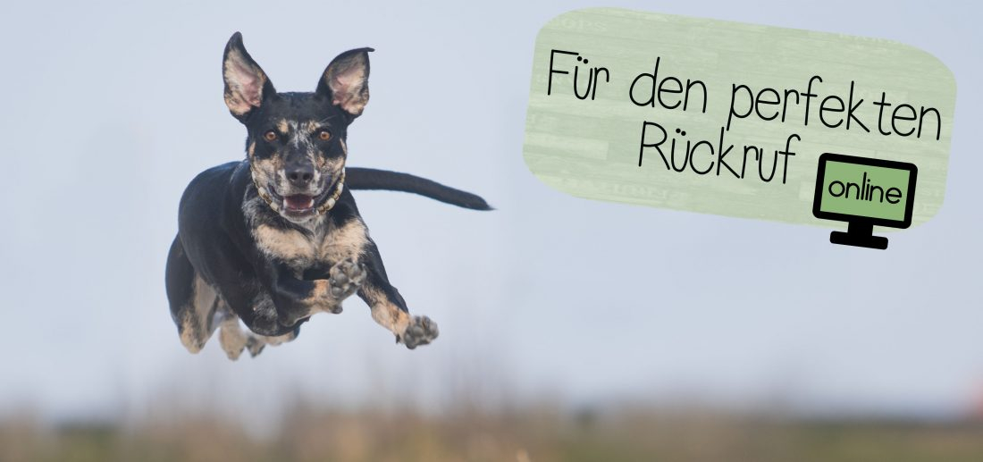 Rückruf online