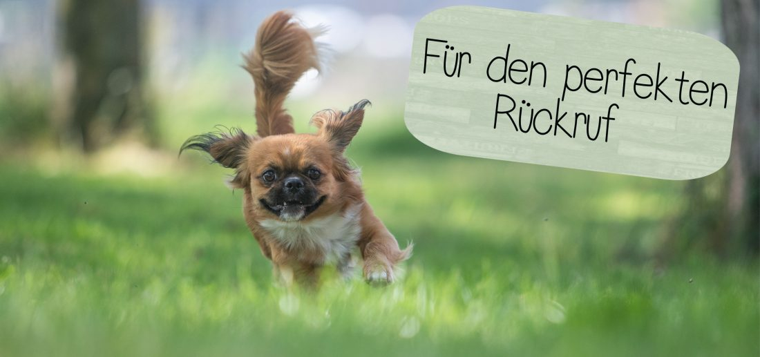 Rückruf